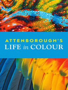 Attenboroughs Life in Colour